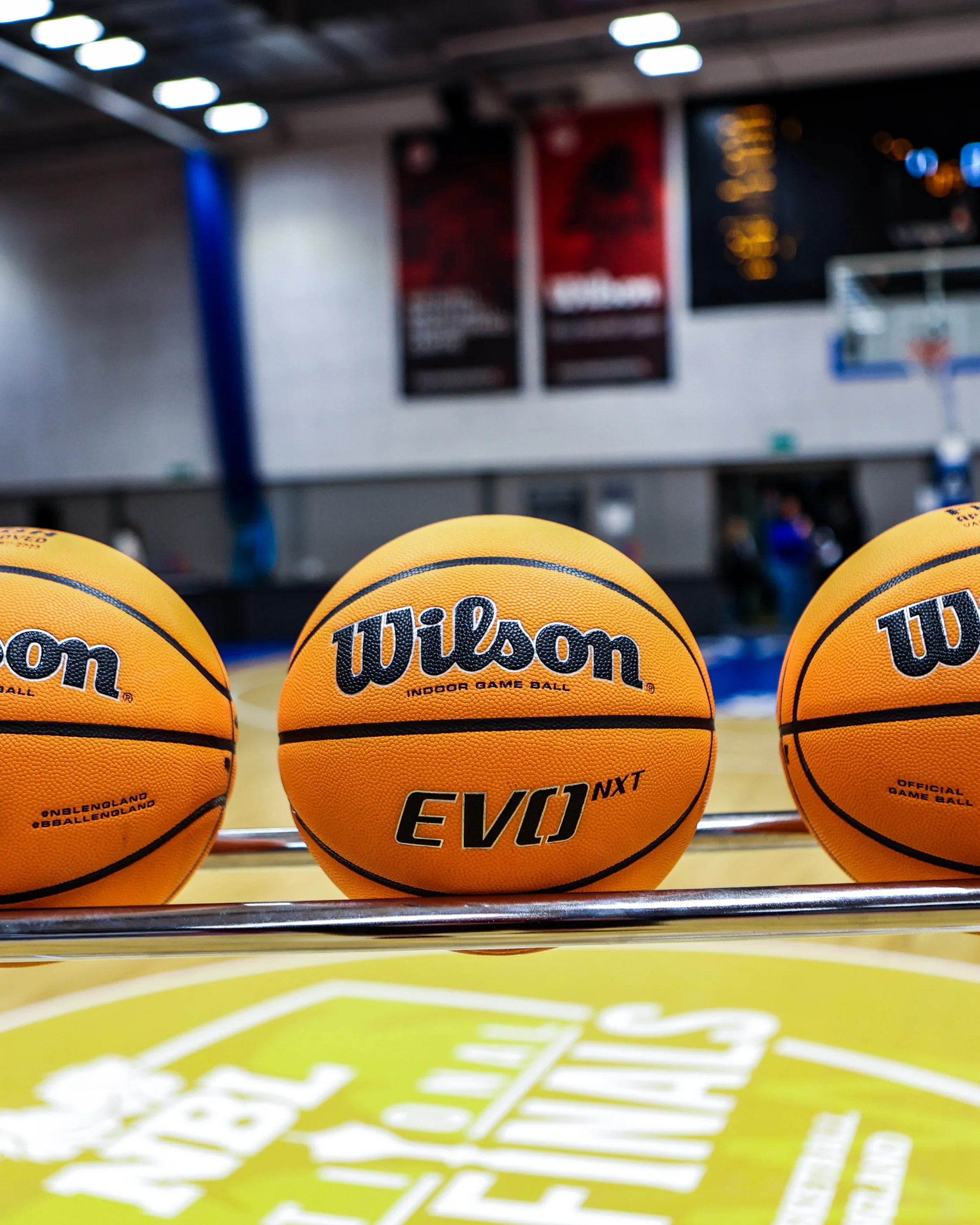Marchesi and Williams&nbsp;elected&nbsp;to Basketball England board